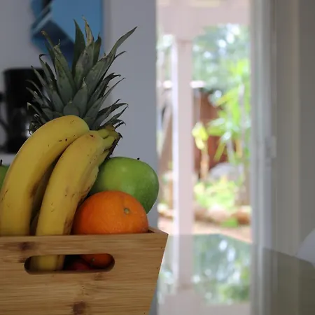 Andreotis Garden Protaras