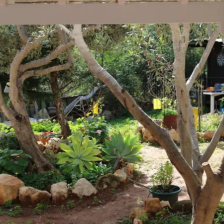Andreotis Garden * Protaras